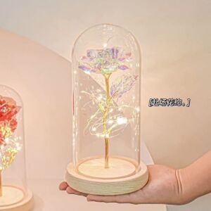 Crystal Galaxy Rose in Plastic Dome with LED Light - White (L)