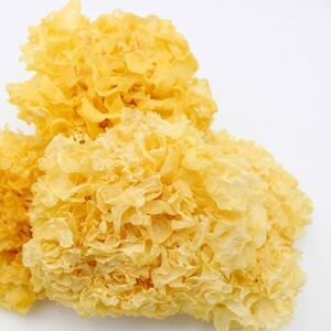 AJ Fungus 50g