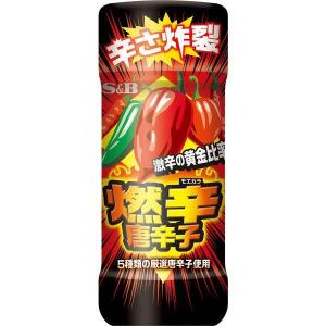 S&B Spicy Chili Pepper 45g