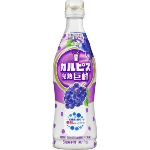 Asahi Calpis Bottle Concentrate (Kyoto Grape) 470ml