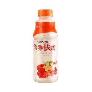 WAHAHA Nutri-Express Fruit Yogurt Drink (OriginalFlavor) 500ml