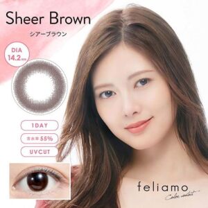 FELIAMO Daily Contact Lens (Sheer Brown) (10 Lenses) -6.50