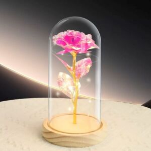 Crystal Galaxy Rose in Plastic Dome with LED Light - Pink (L)