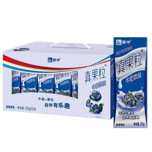 Mengniu Fruit Milk Drink (Blueberry Flavor) 250ml x12