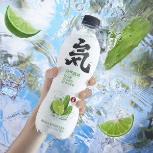 YUANQI Soda Water-Lime+Cactus 480ml